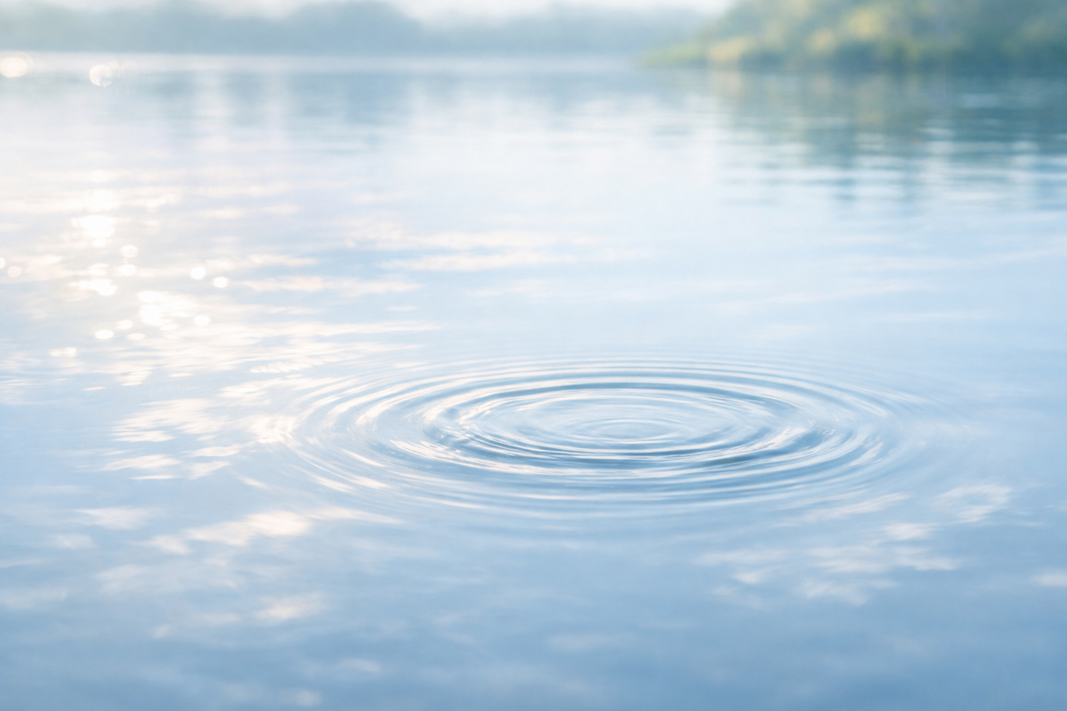 水面に浮かぶ小さな波紋が心にできた違和感を表現している